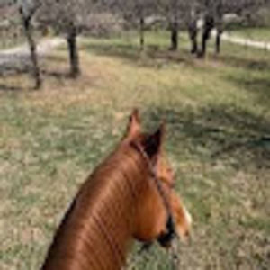 Meet your Posher, Brooke